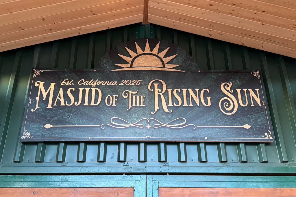 Los Angeles, California - End of November - Nov 29 2025