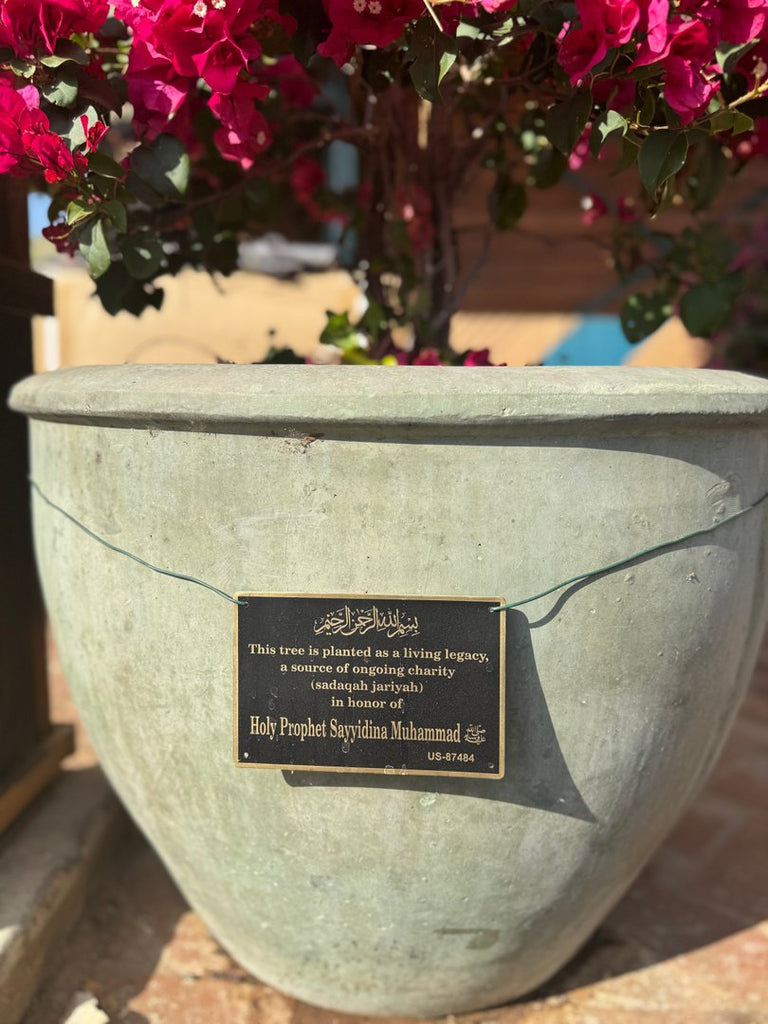 Masjid Tree Dedications Part 3 in Los Angeles, California, USA - Mar 13, 2026