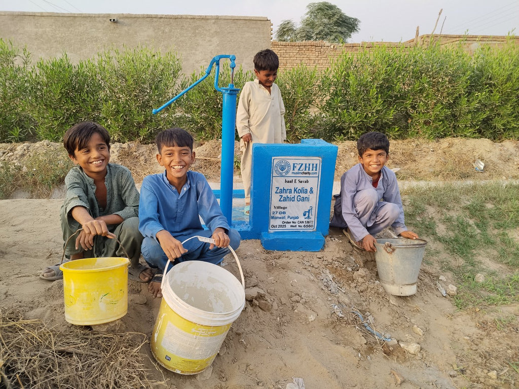 Zahra Kolia & Zahid Gani - Order no. CAN 53672 - Well no. 6560