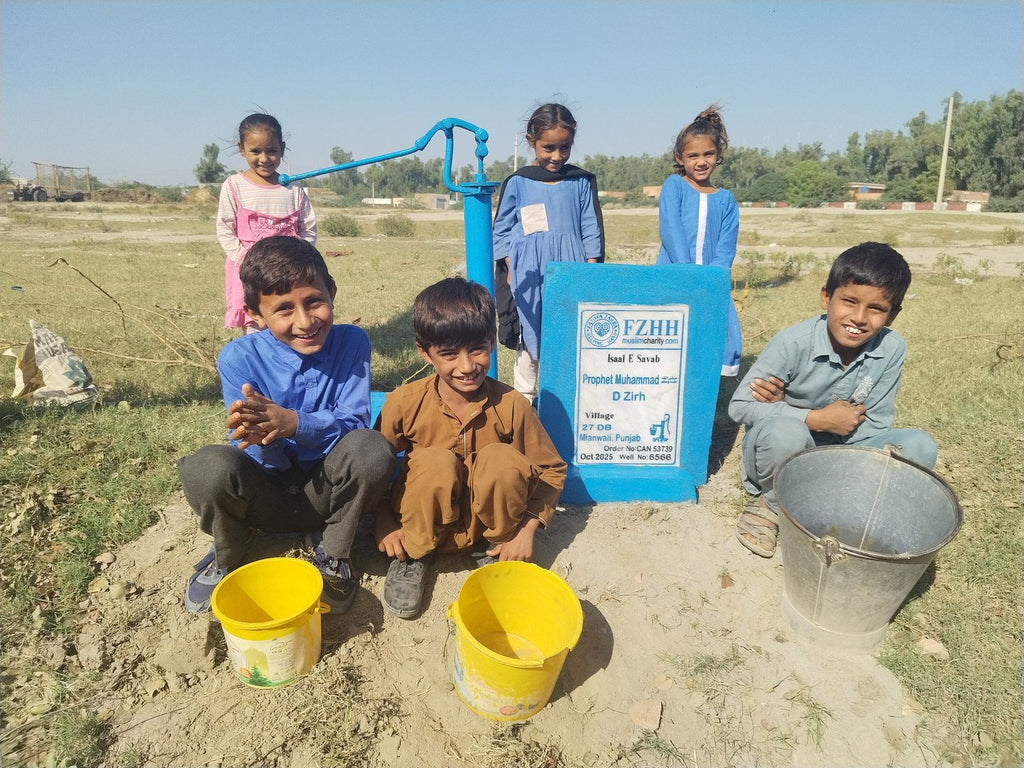 Prophet Muhammad ﷺ, D Zirh - Order no. CAN 53739 - Well no. 6566