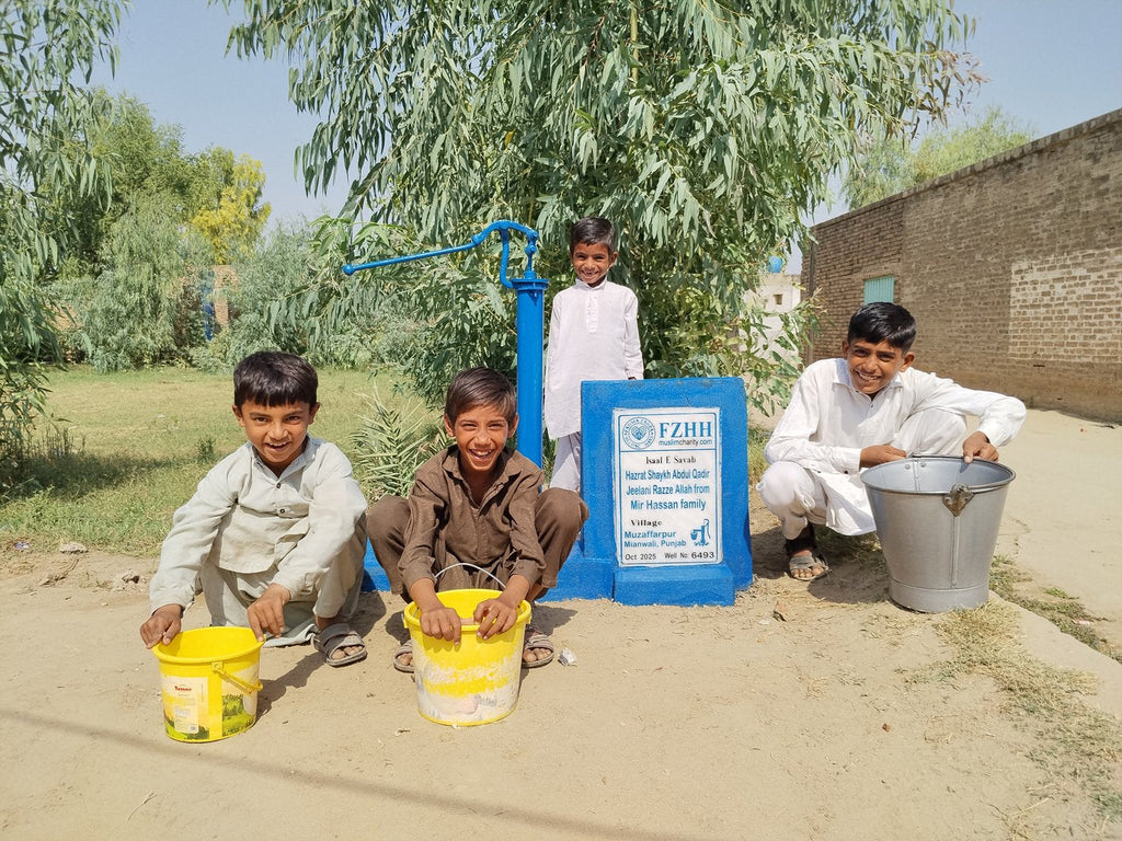 Hazrat Shaykh Abdul Qadir jeelani Razze Allah from Mir Hassa... - Order no.   - Well no. 6493