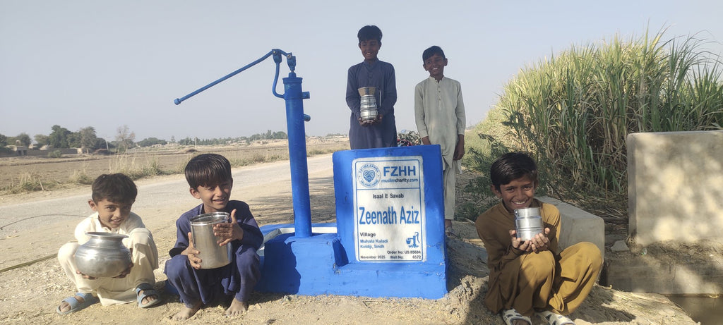 Zeenath Aziz - Order no. US 85684 - Well no. 6572