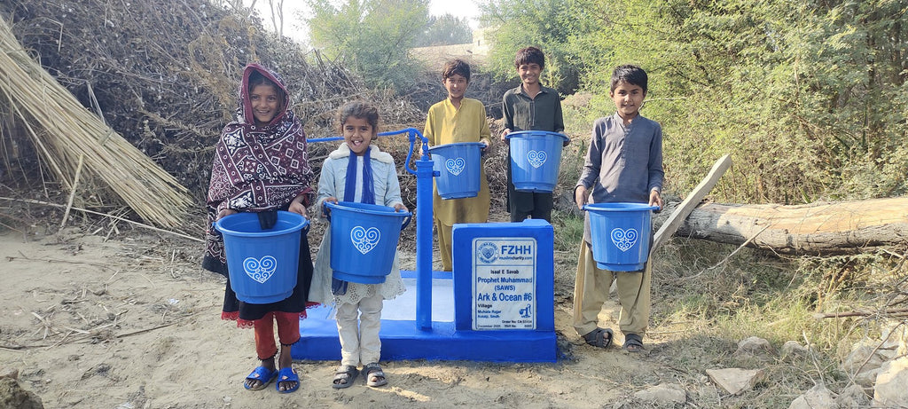 Prophet Muhammad (SAWS) Ark & Ocean #6 - Order no. CAN 55434 - Well no. 6665