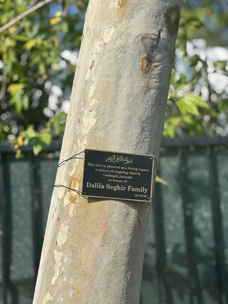 Masjid Tree Dedications Part 1 in Los Angeles, California, USA - Mar 13, 2026