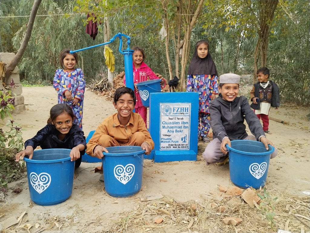 Quasim ibn Muhammad ibn Abu Bakr - Order no. US 88135 - Well no. 6645