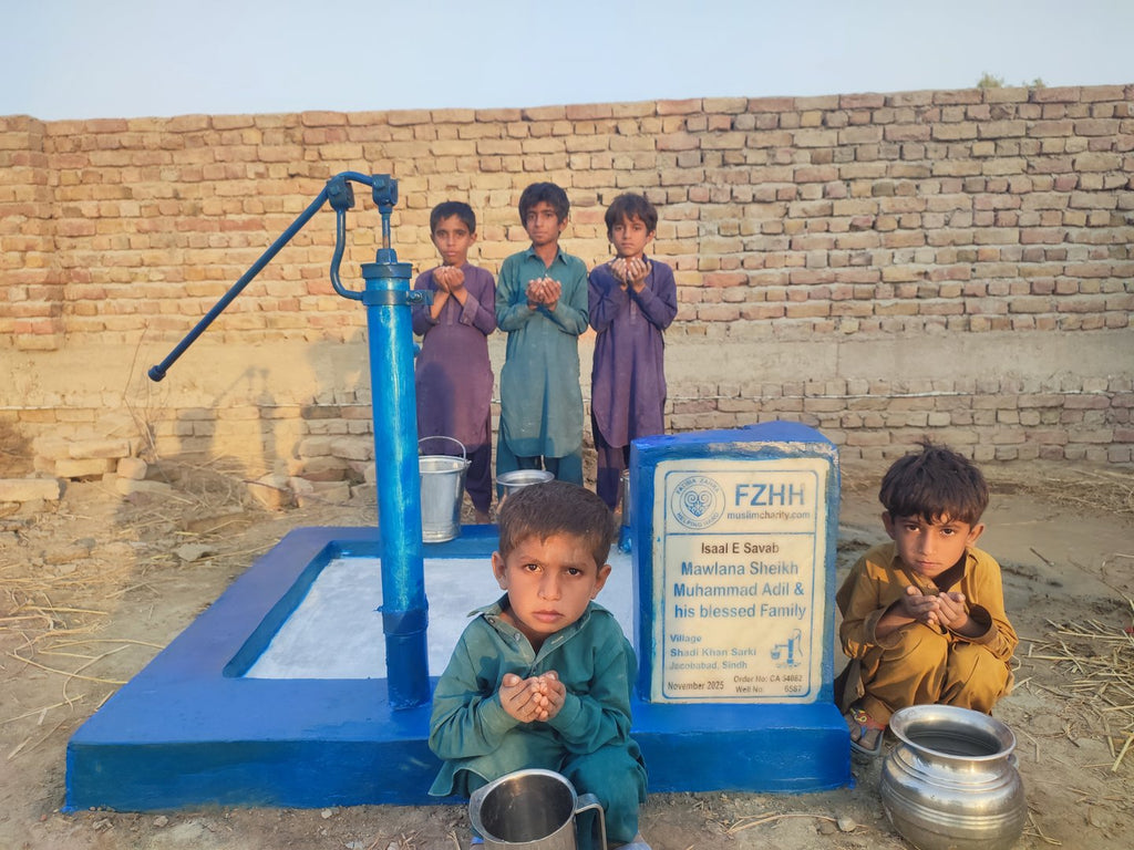 Mawlana Sheikh Muhammad Adil & his blessed family - Order no. CAN 54082 - Well no. 6587