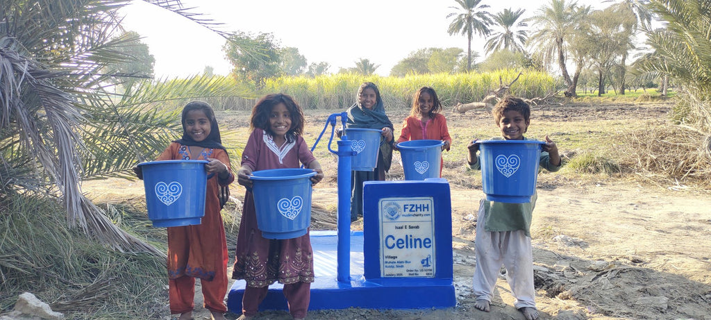 Celine - Order no. US 93196 - Well no. 6833