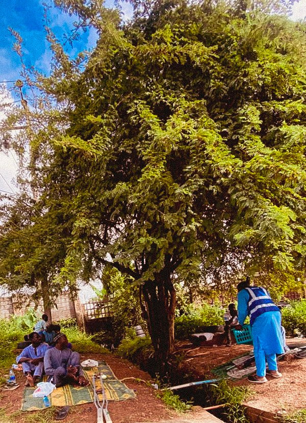 Food Distribution Activity in Abuja, Nigeria - Sep 21, 2026