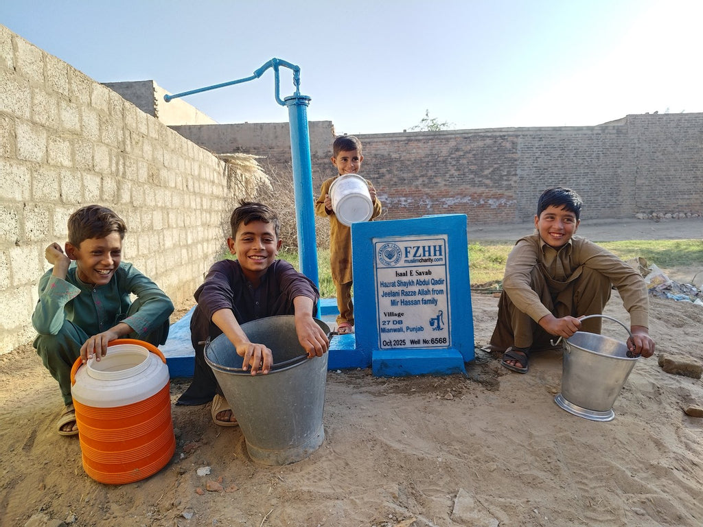 Hazrat Shaykh Abdul Qadir jeelani Razze Allah from Mir Hassa... - Order no. PAK  - Well no. 6568