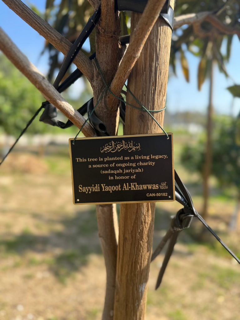 Masjid Tree Dedications Part 4 in Los Angeles, California, USA - Mar 13, 2026
