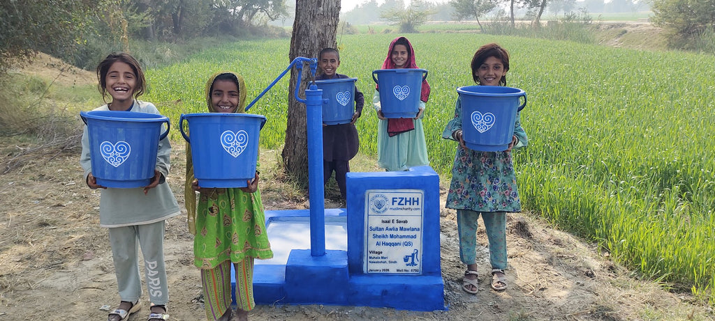 Sultan Awlia Mawlana Sheikh Mohammad Al Haqqani qs - Order no. PAK  - Well no. 6790