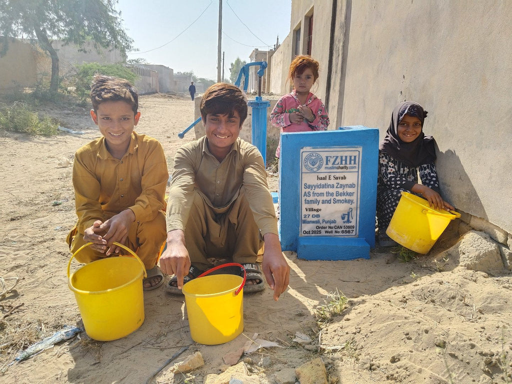 Sayyidatina Zaynab AS from the Bekker family and Smokey. - Order no. CAN 53809 - Well no. 6567