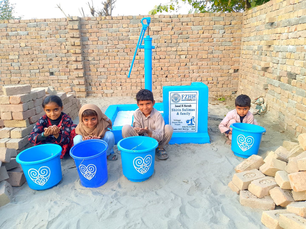 Shirin Suliman & family - Order no. CAN 54963 - Well no. 6638