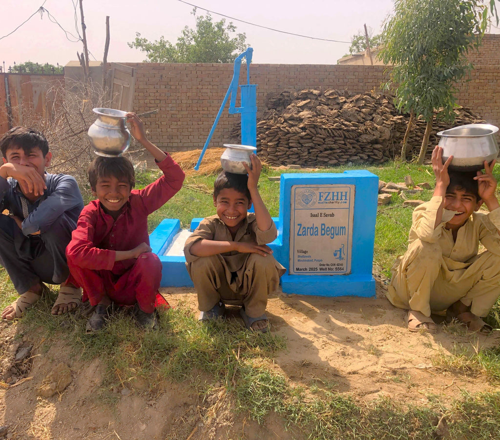 Zarda Begum - Order no. CAN 42349 - Well no. 5564