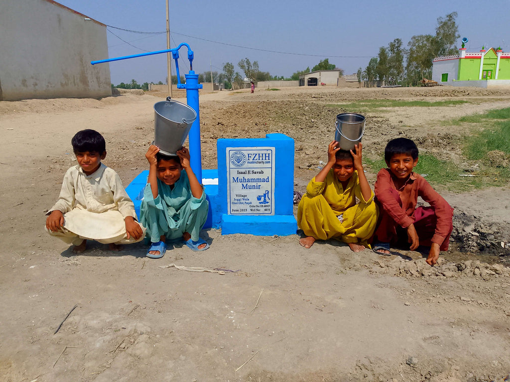 Muhammad Munir - Order no. US 68927* - Well no. 6075